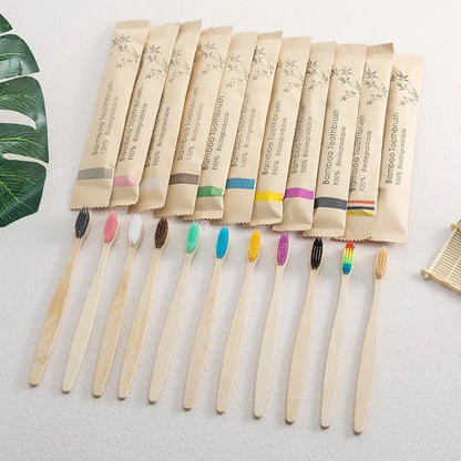 10 PCS Toothbrush Set